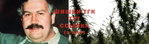 spice Алзамай