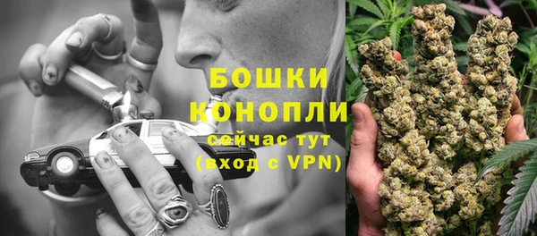 apvp Болотное