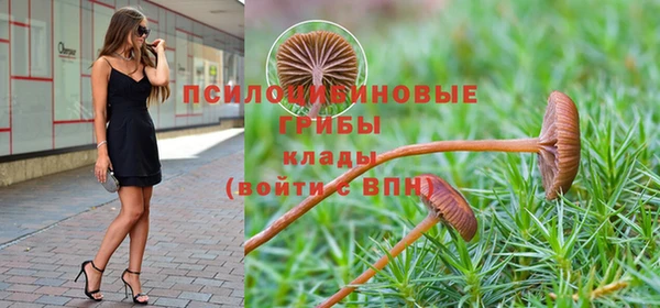 стафф Алексеевка