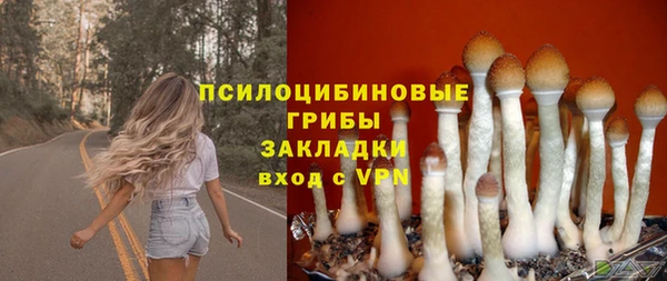 стафф Алексеевка