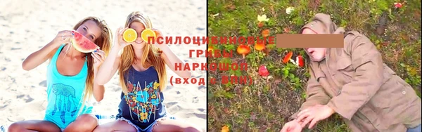 spice Алзамай