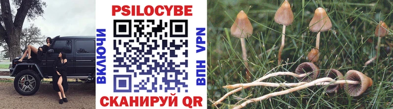 Галлюциногенные грибы Magic Shrooms  даркнет сайт  Сенгилей 